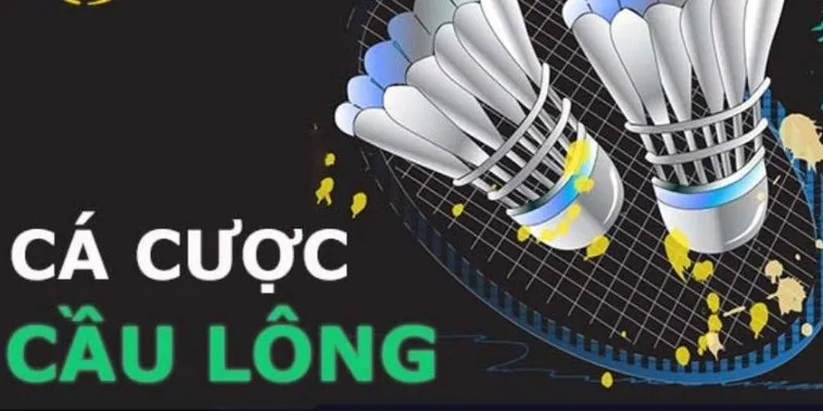 Cách Chơi Cá Cược Cầu Lông Tại Dafabet: Mẹo Thắng Lớn Vui Vẻ Hấp Dẫn