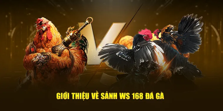 Cách Chơi Đá Gà WS168 Tại DafaBet Hấp Dẫn